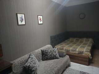 Отель На земской Бердянск Большой двухместный номер с 1 кроватью или 2 отдельными кроватями-5